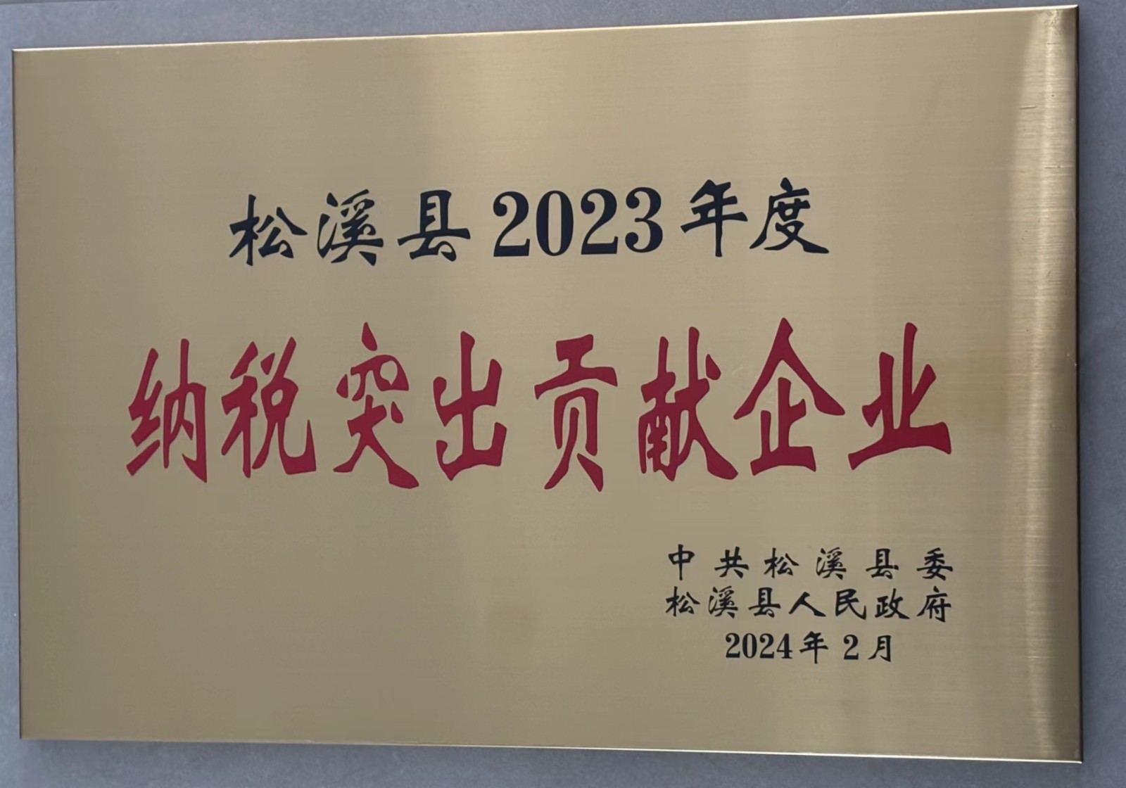 喜報(bào)！易順建工集團(tuán)榮獲“松溪縣2023年度納稅突出貢獻(xiàn)企業(yè)”稱號(hào)