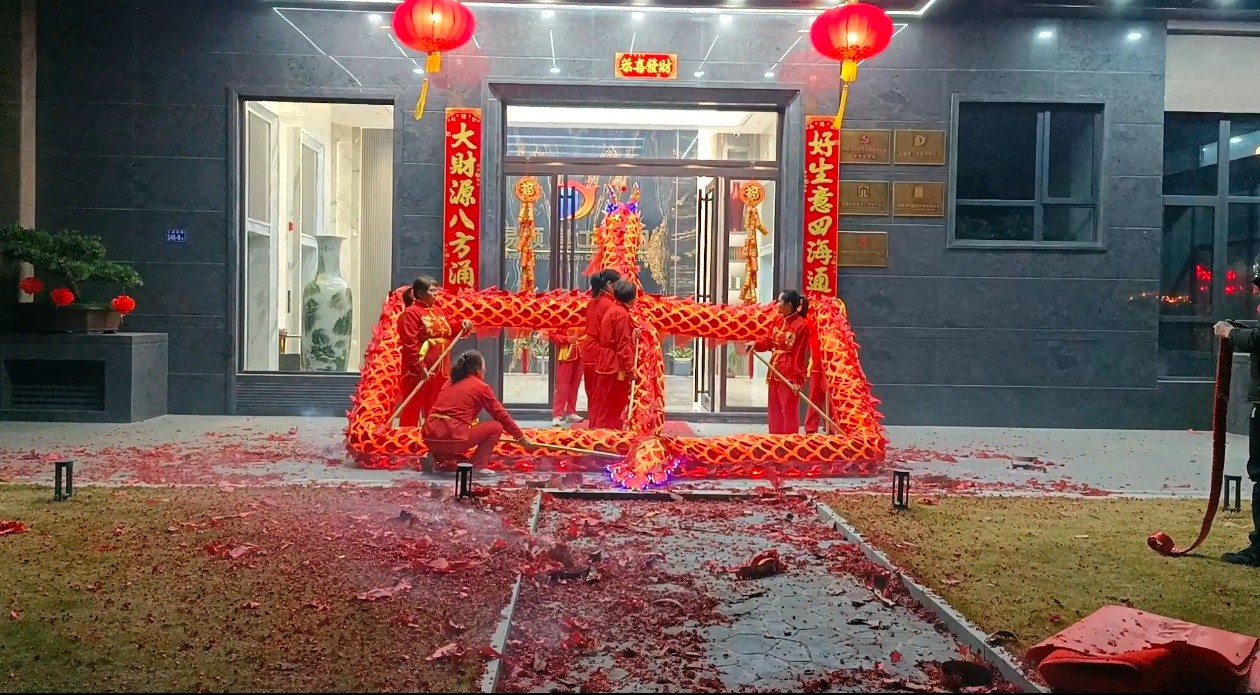 蛇舞新春，龍騰瑞氣