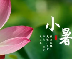 二十四節(jié)氣丨小暑:熱風(fēng)撲面小暑至 炎炎盛夏于此始
